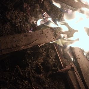 Meet your Posher, Saiful